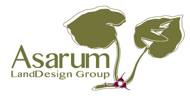 Asarum Land Design
